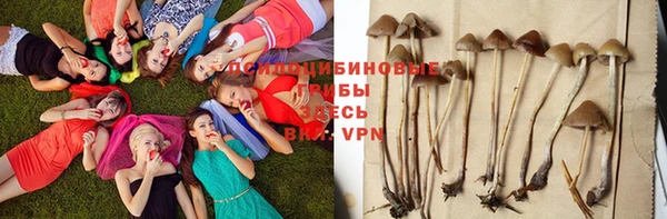 тгк Баксан