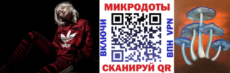 Псилоцибиновые грибы Magic Shrooms  купить   Тихорецк 